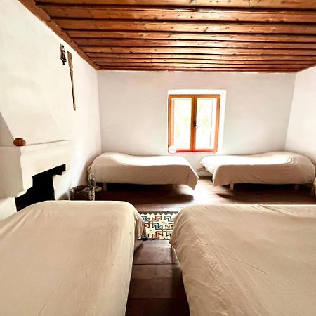 Neomalsore Agrotourism, Komani Lake Hotell Eksteriør bilde