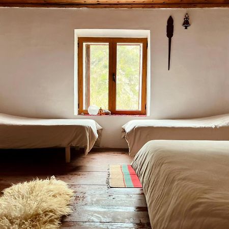 Neomalsore Agrotourism, Komani Lake Hotell Eksteriør bilde