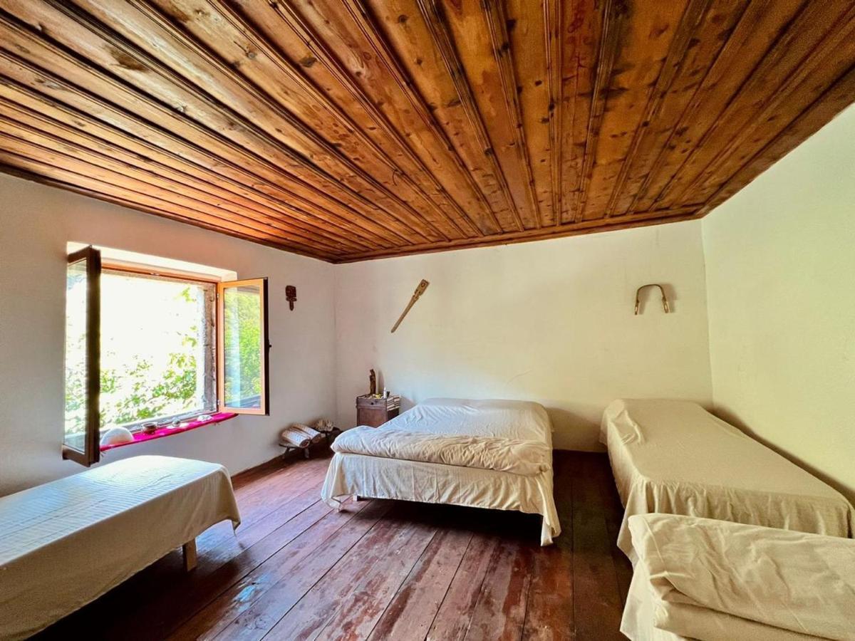 Neomalsore Agrotourism, Komani Lake Hotell Eksteriør bilde