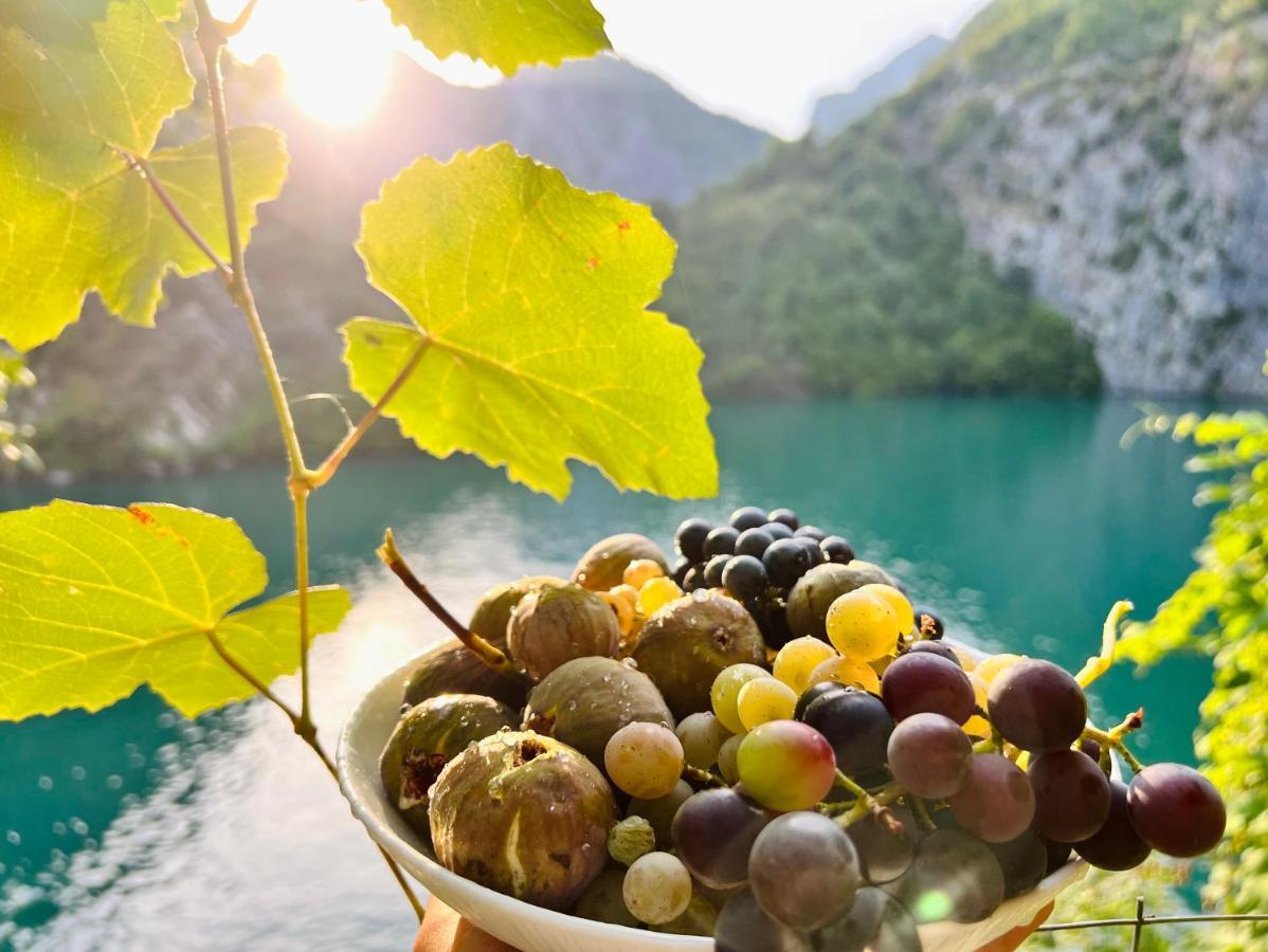 Neomalsore Agrotourism, Komani Lake Hotell Eksteriør bilde