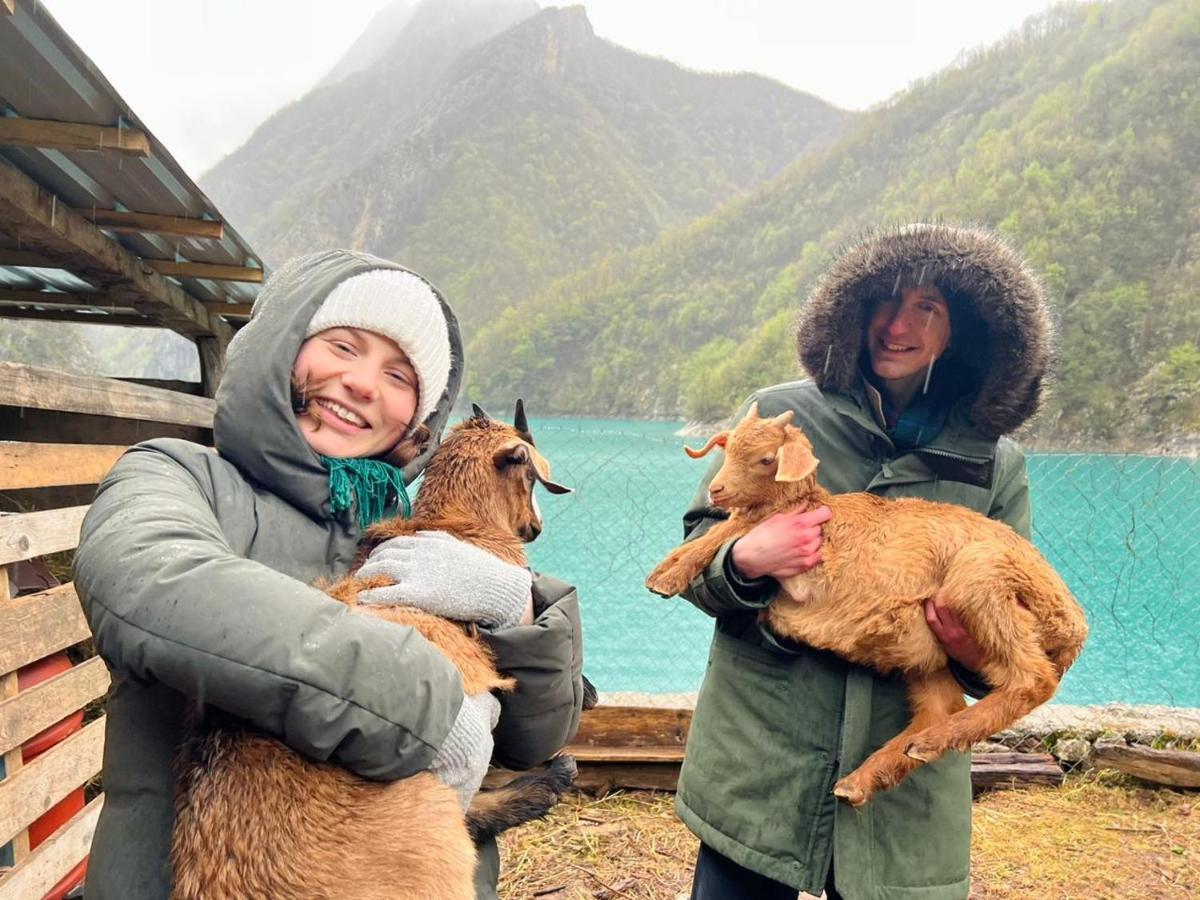 Neomalsore Agrotourism, Komani Lake Hotell Eksteriør bilde
