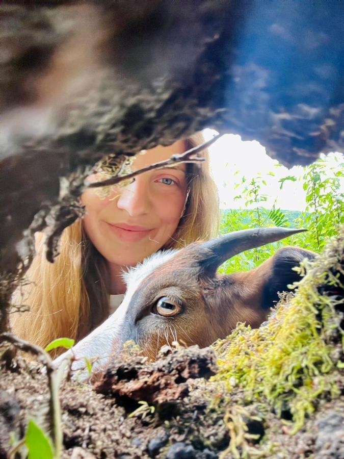 Neomalsore Agrotourism, Komani Lake Hotell Eksteriør bilde