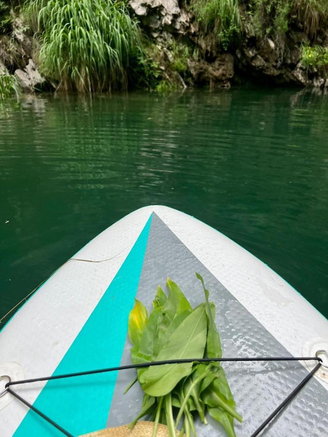 Neomalsore Agrotourism, Komani Lake Hotell Eksteriør bilde