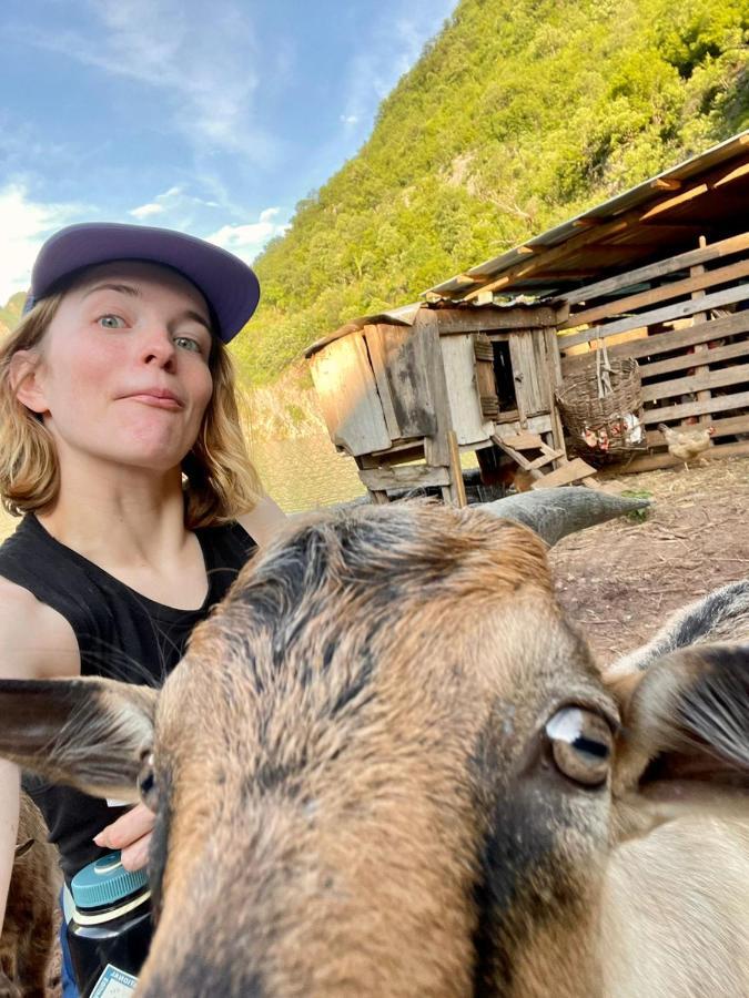 Neomalsore Agrotourism, Komani Lake Hotell Eksteriør bilde